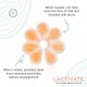 Lactivate Ice & Heat Breast Packs